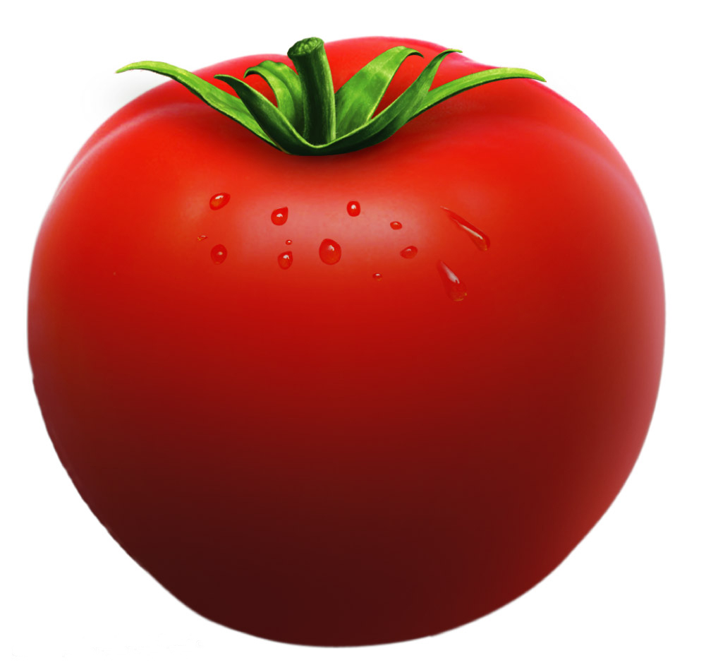 Tomato clipart Vegetable clip art 