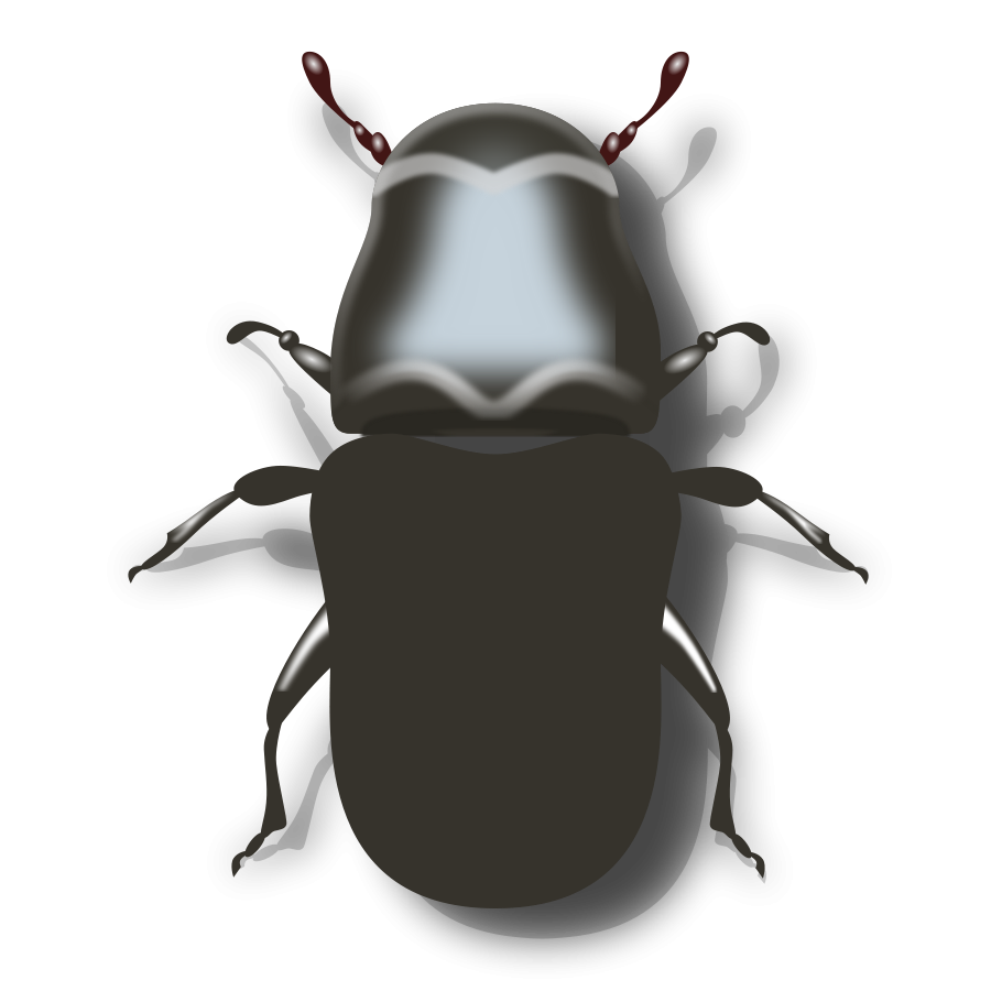 free clip art beetle - photo #36
