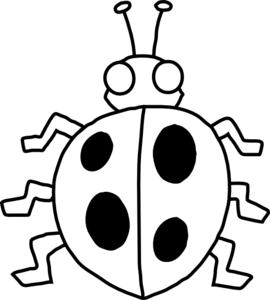 Beetle Clipart Black And White