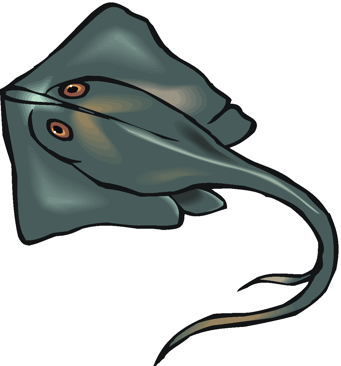 Cartoon Stingray Clipart - Qdrush