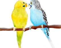 Popular items for budgie