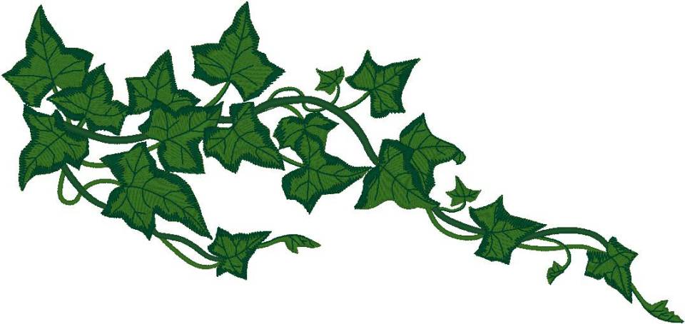 Cartoon Jungle Vines Clip Art Library