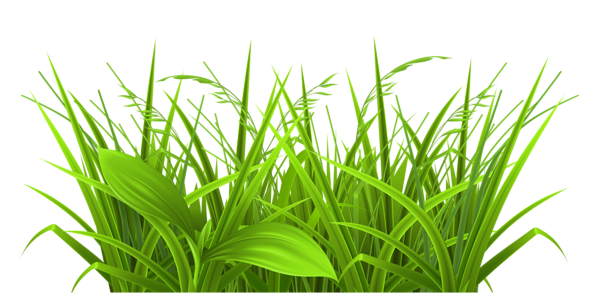 Free Weeds Cliparts, Download Free Weeds Cliparts png images, Free