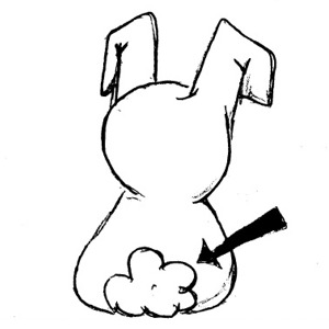 Tail Clipart