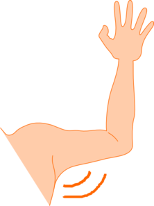 Clip Art Arm Clip Art arms clipart free download clip art on clip
