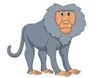 Free Baboon Cliparts, Download Free Baboon Cliparts png images, Free