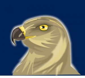 Changeable Hawk Eagle Nisaetus Limnaeetus Clip Art Download
