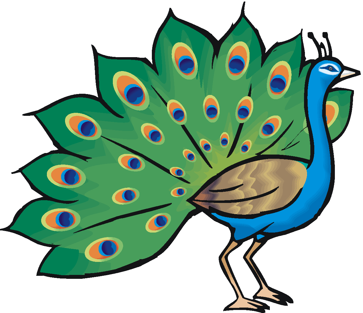 Free Peacock Cliparts, Download Free Peacock Cliparts png images, Free  ClipArts on Clipart Library