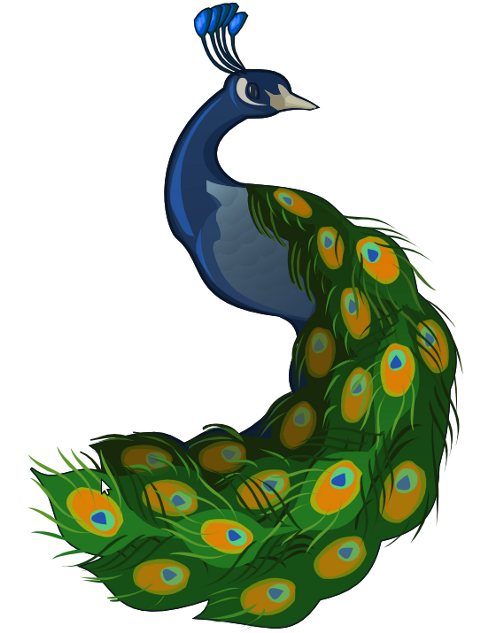 cartoon picture of peacocks - Clip Art Library