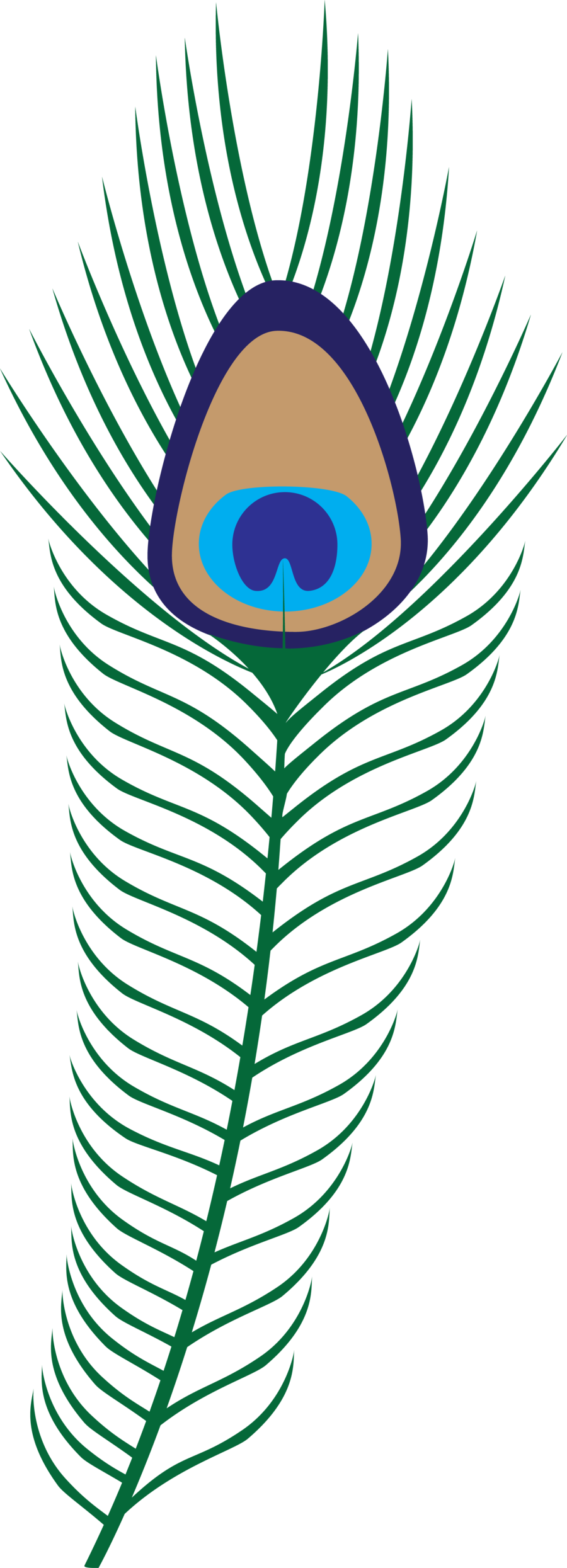 Cartoon Feather Of Peacock