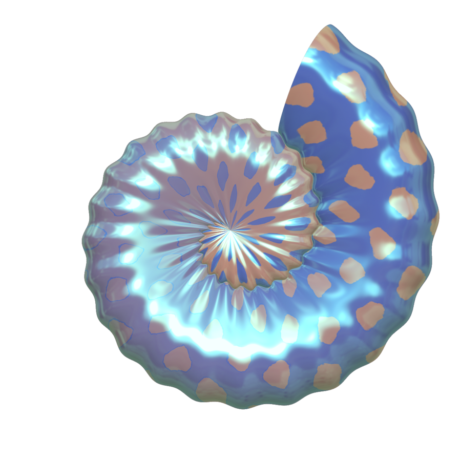 Free seashells clipart free clipart image cliparts and others 