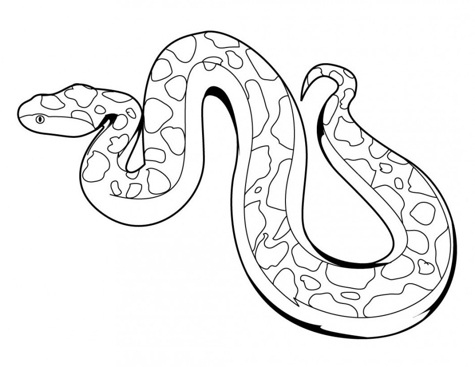 Anaconda Snake Head Drawing