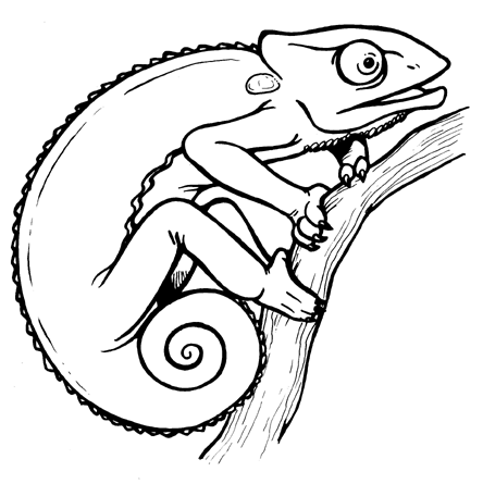 Image of Anaconda Clipart Rattlesnake Clip Art 