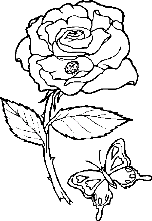 Rose And Butterfly Coloring Page