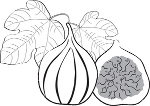Fig Black And White Clipart