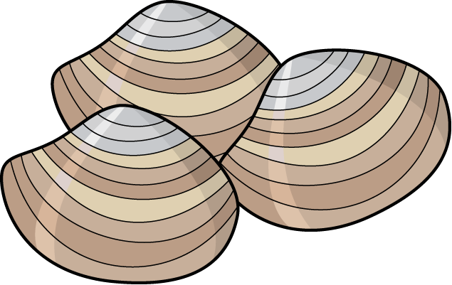 Clam 20clipart 