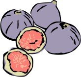 Figs Clipart