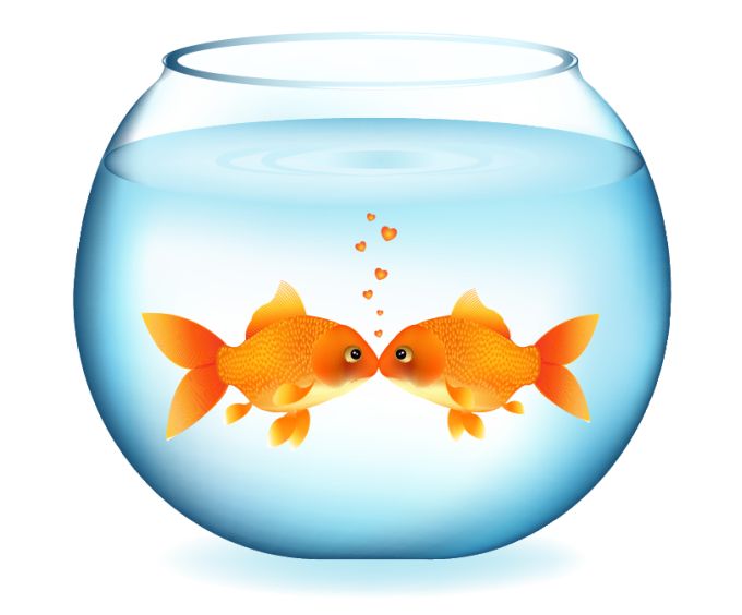 clipart of fish bowl - photo #40