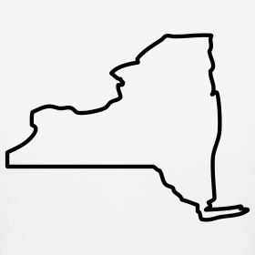 Outline Of Ny State 