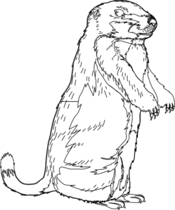 Free Groundhog Black And White Clipart, Download Free Groundhog Black