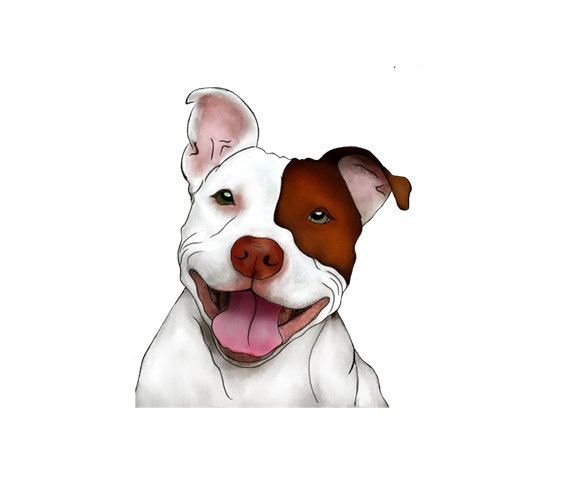 pit bull clip art