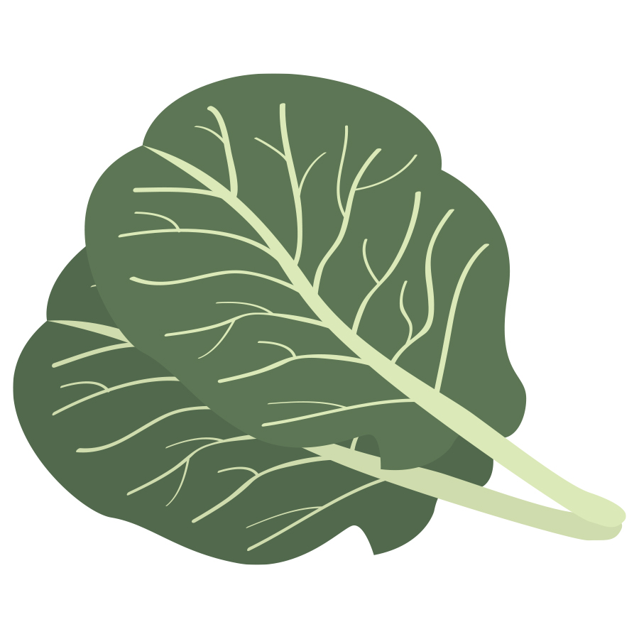 Free Collards Cliparts, Download Free Collards Cliparts png images