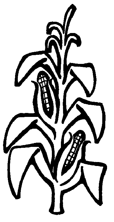 Maize Draw Plant Logo 