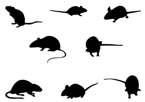 Rodent Silhouette Vector Graphics 