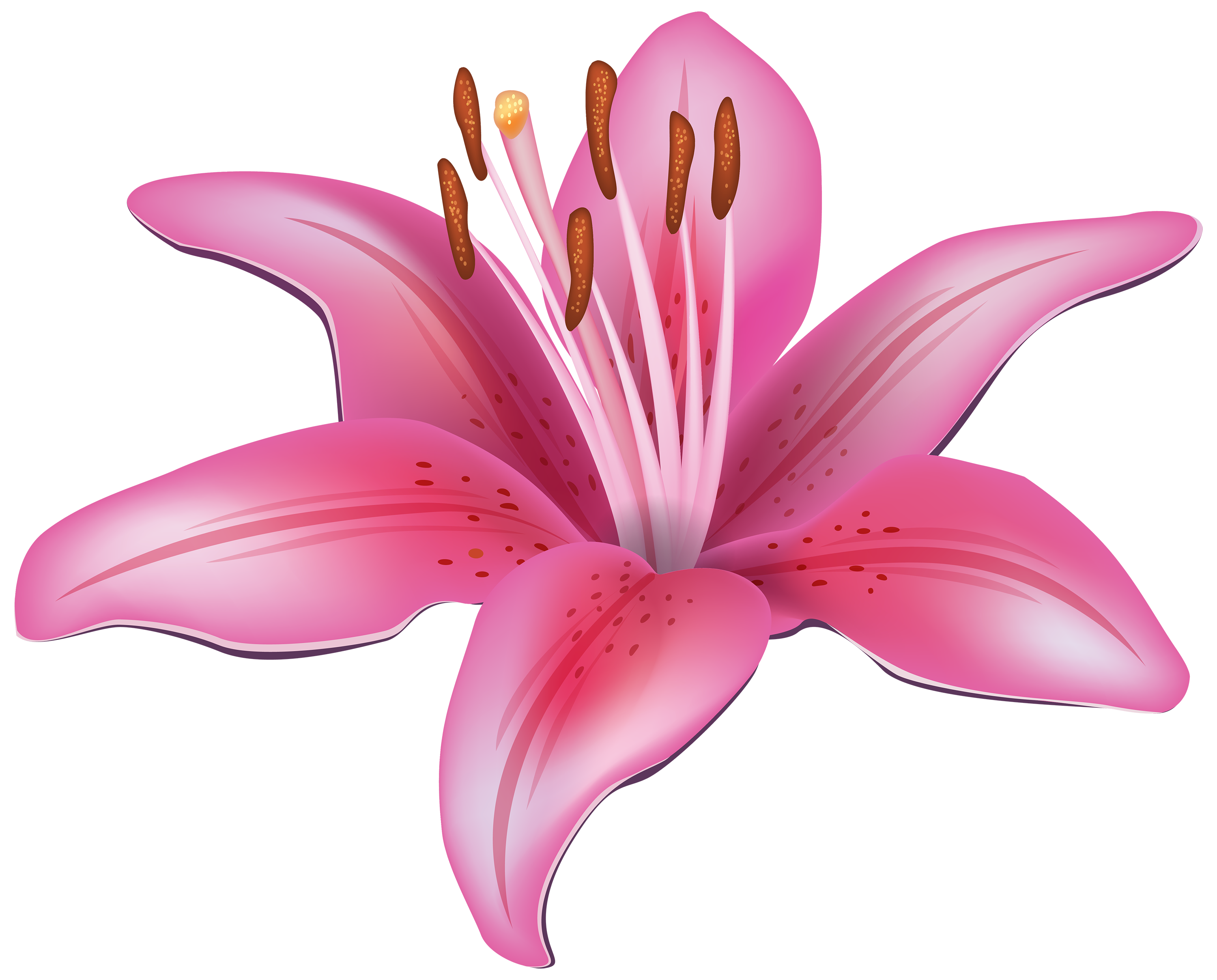 Lily image free clip art of easter lilies 2 image 