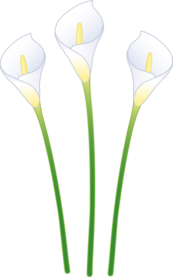 Easter Lilies Clipart
