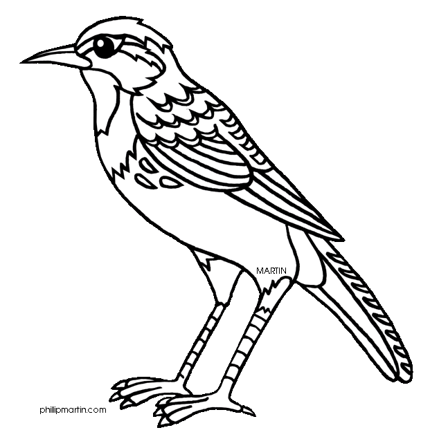 wyoming state tree coloring pages