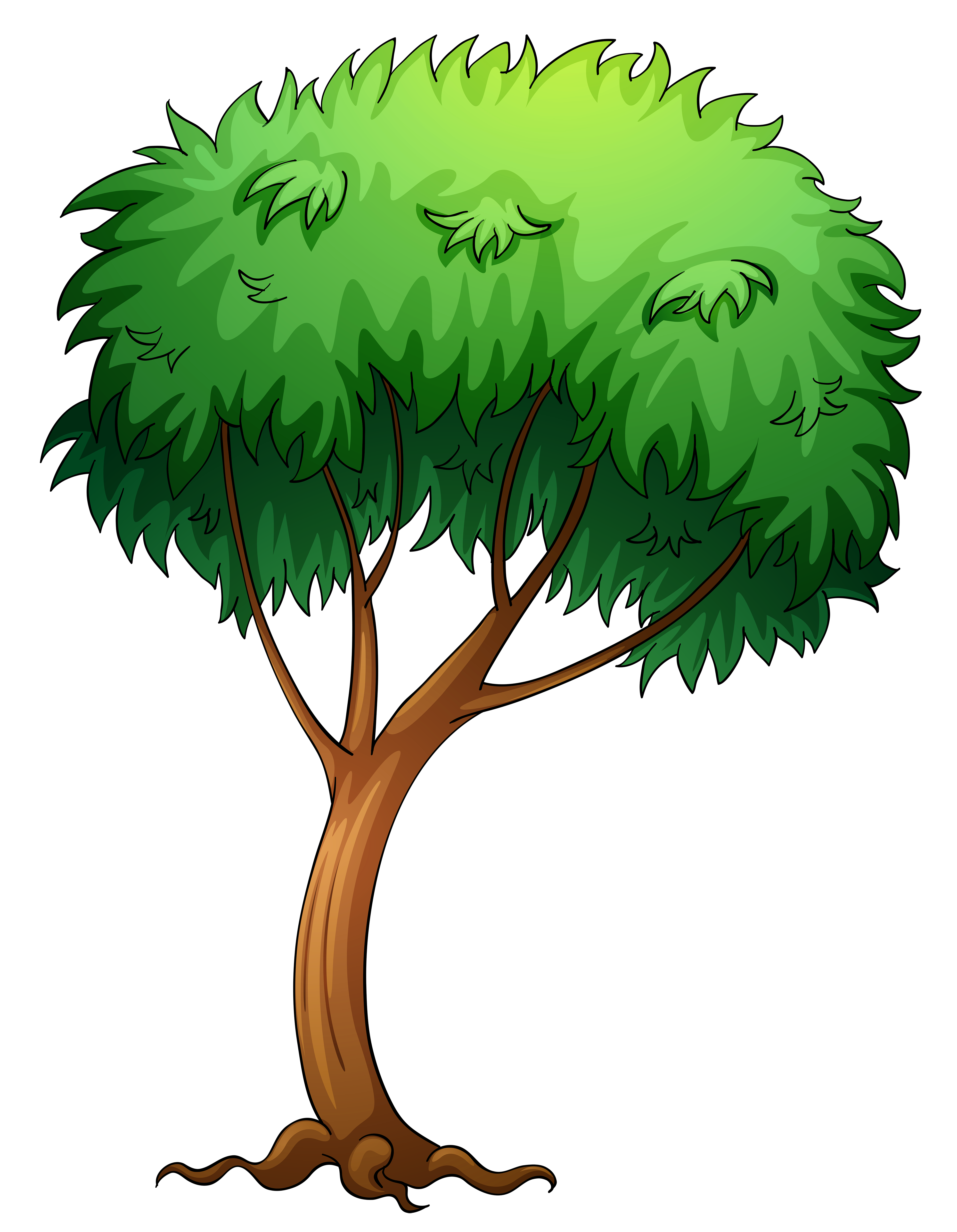 Tree Pictures Clip Art 