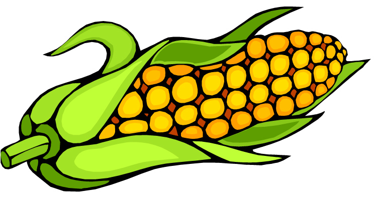 Corn Cob Pictures 