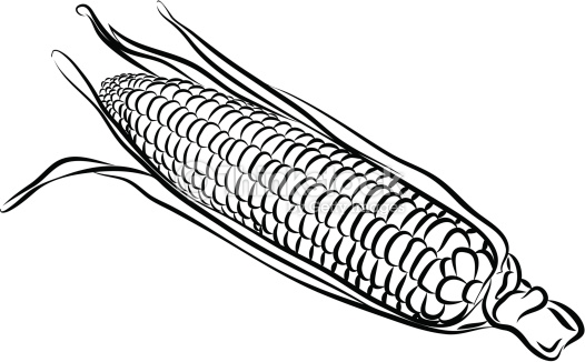 Corn Cob Clip Art Black And White Sketch Coloring Page 