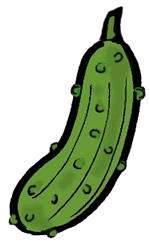 Pickle cliparts 