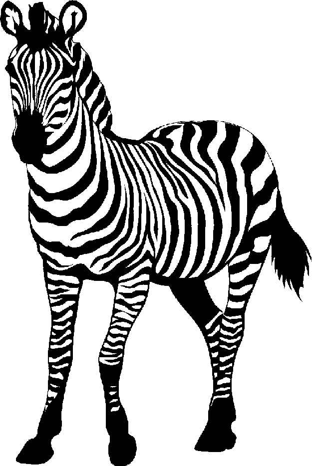 Pictures Of Cartoon Zebras