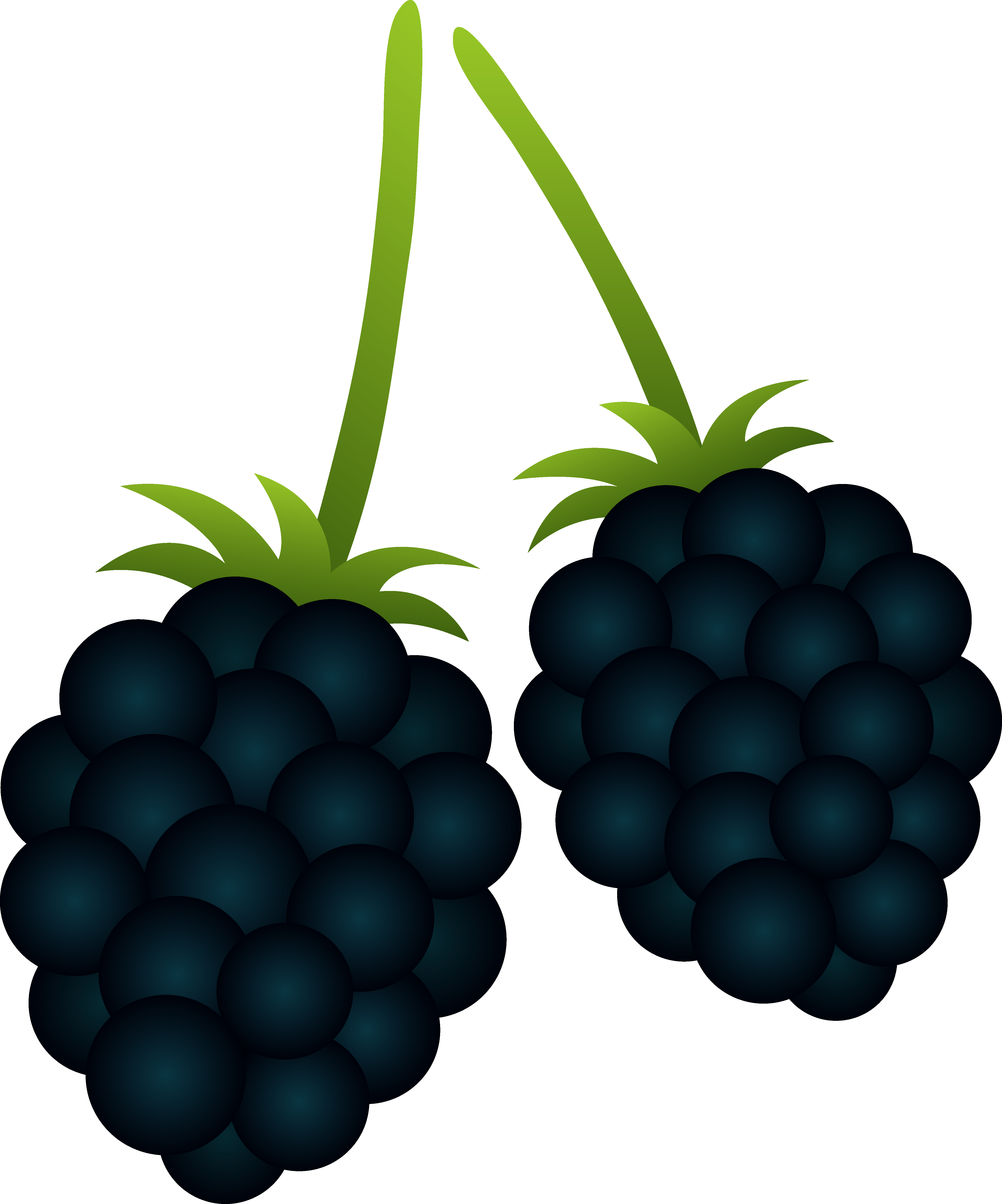 download clipart for blackberry - photo #7