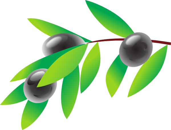 green olive clipart - photo #43