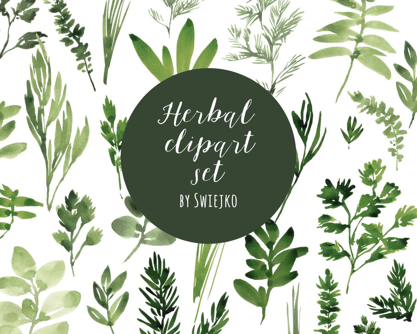 Popular items for herbs clipart