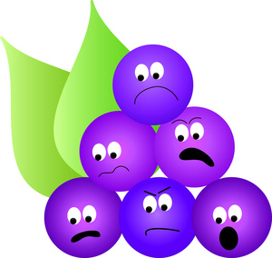 Grapes Clipart Image