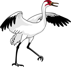 Swan clip art free clipart image image