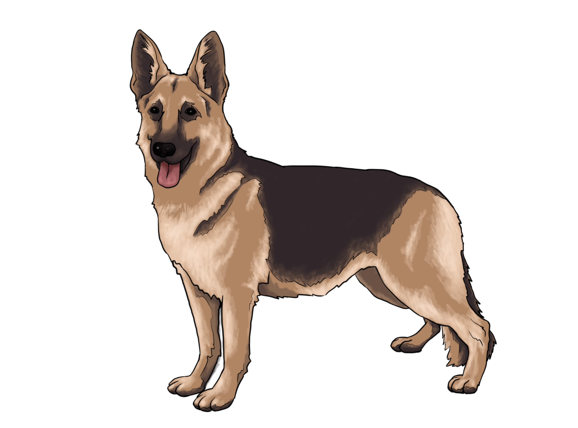 Real Dog Clipart