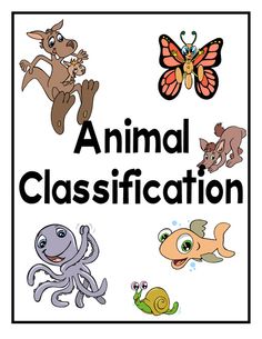 Classification Clipart