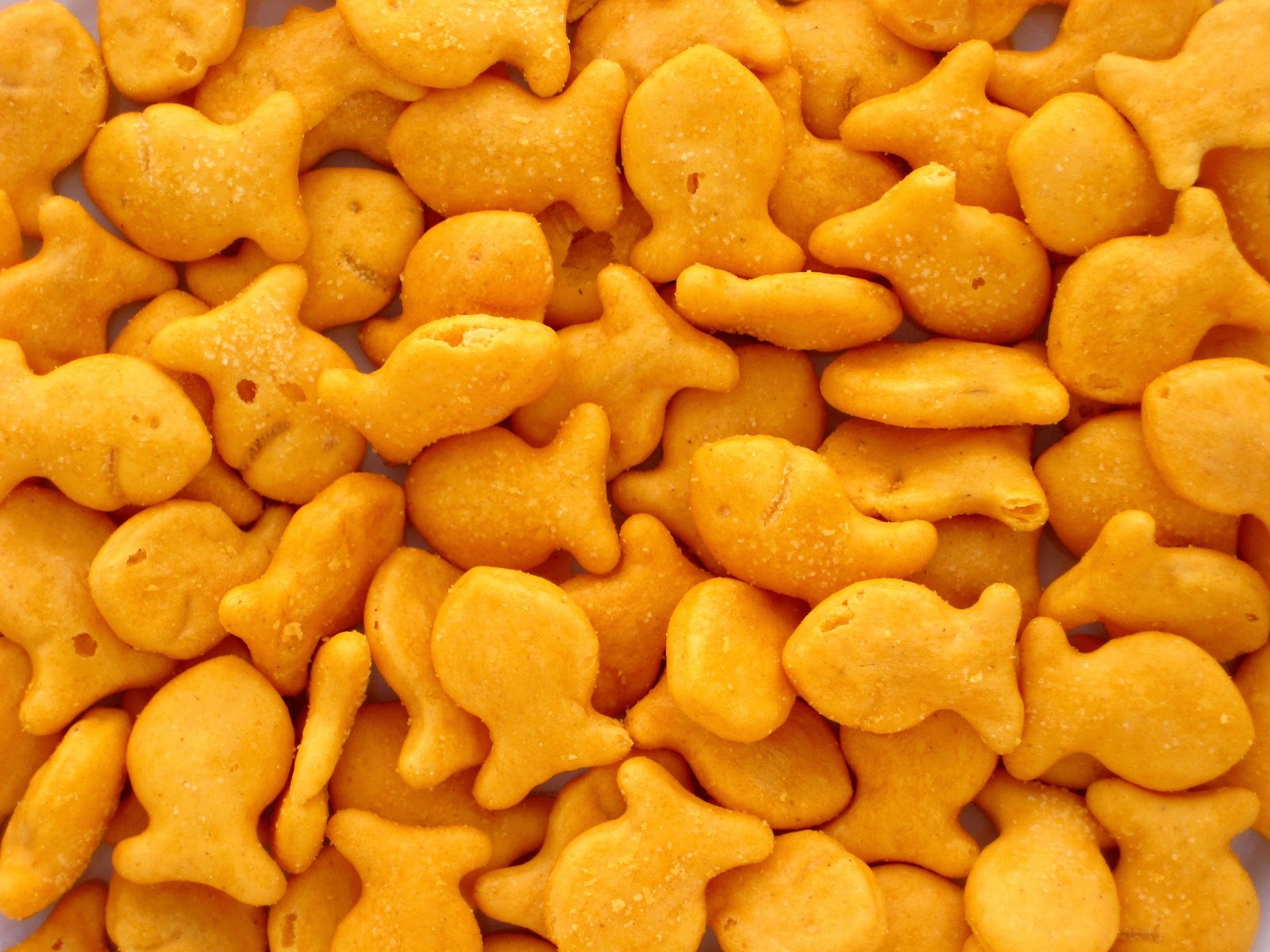 goldfish food clipart for kids