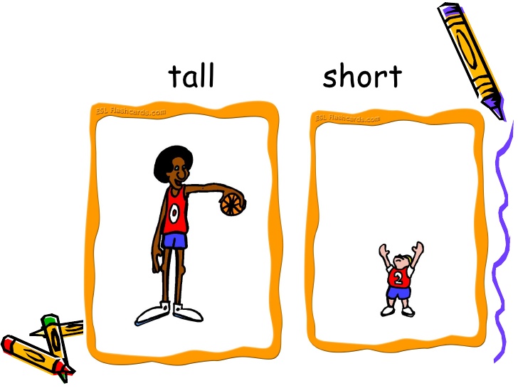comparing tall and short - Clip Art Library