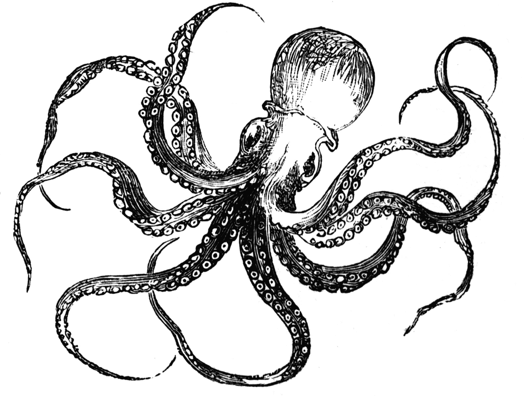 Black and White Octopus Tattoo Cover Up Ideas - wide 7