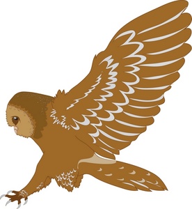 Wise owl clipart
