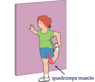 Quadriceps clipart