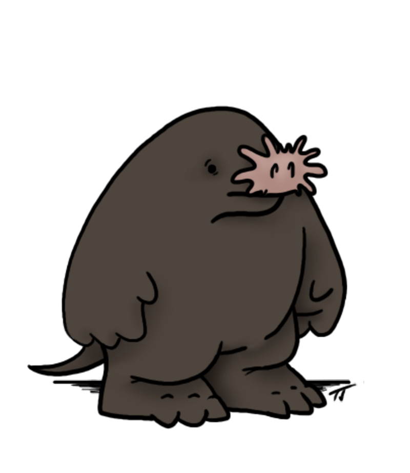 Free Star-Nosed Mole Cliparts, Download Free Star-Nosed Mole Cliparts png  images, Free ClipArts on Clipart Library