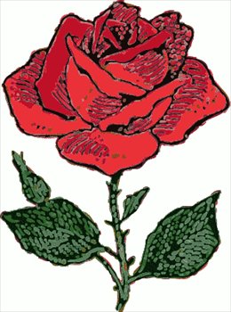 Free rose